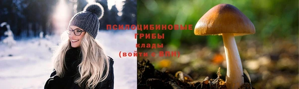 ГАЛЛЮЦИНОГЕННЫЕ ГРИБЫ Алексин