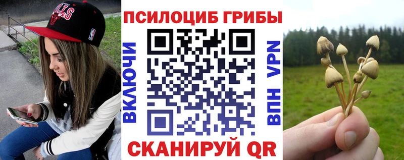 Галлюциногенные грибы мицелий omg маркетплейс Калач-на-Дону