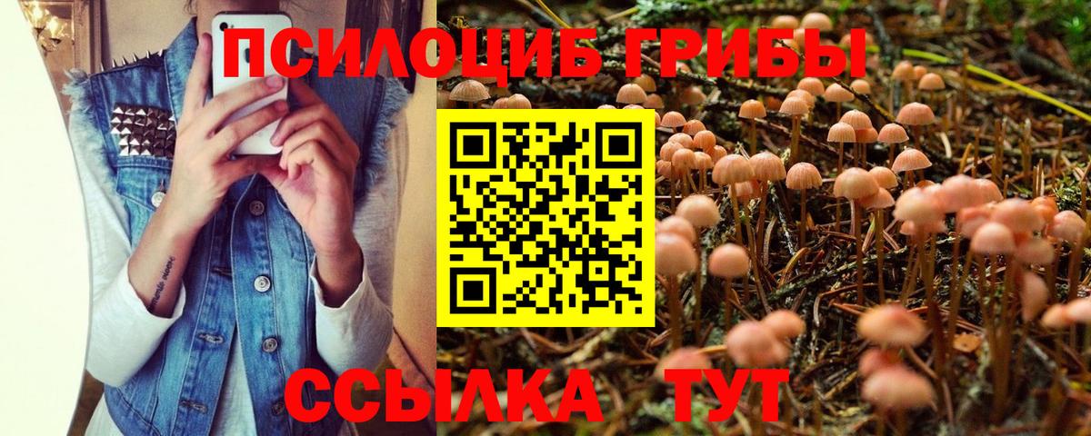 Галлюциногенные грибы ЛСД Калач-на-Дону